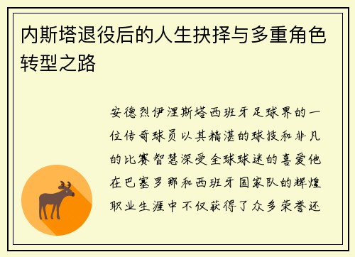 内斯塔退役后的人生抉择与多重角色转型之路