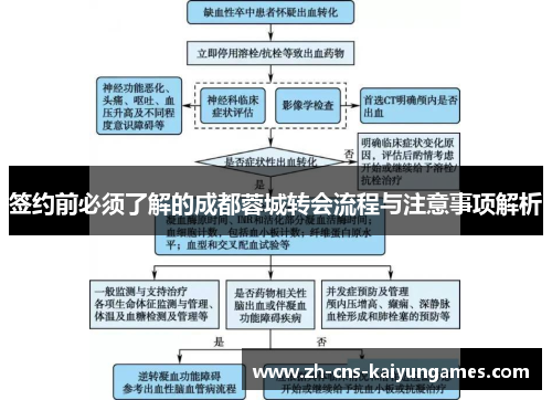签约前必须了解的成都蓉城转会流程与注意事项解析