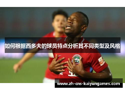 如何根据西多夫的球员特点分析其不同类型及风格