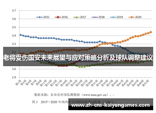 老将受伤国安未来展望与应对策略分析及球队调整建议