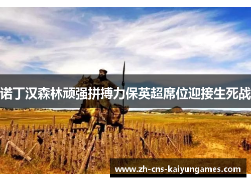 诺丁汉森林顽强拼搏力保英超席位迎接生死战