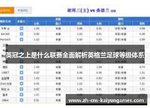 英冠之上是什么联赛全面解析英格兰足球等级体系